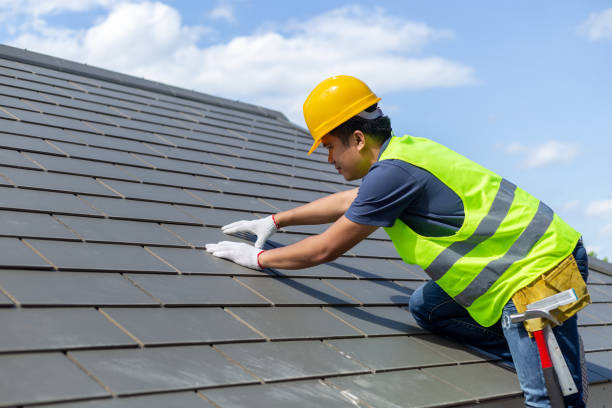 Roof Gutter Cleaning in Hillsboro, WI