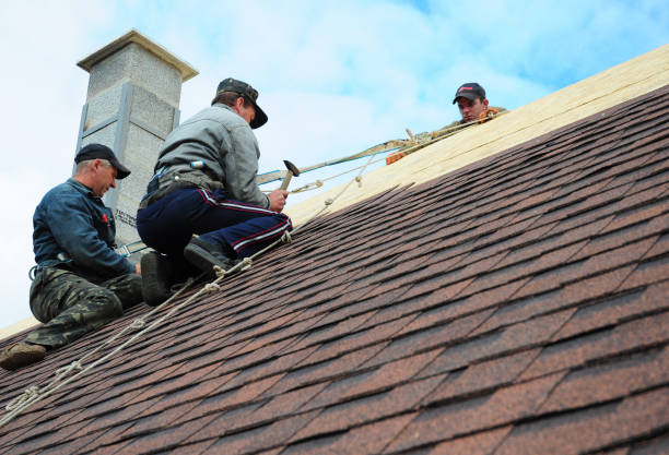 Best Roof Repair Services  in Hillsboro, WI
