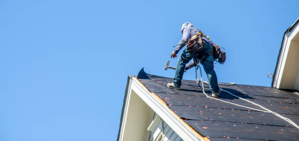 Best Roof Gutter Cleaning  in Hillsboro, WI